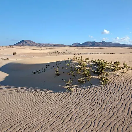 Willa Brisamar19 Corralejo