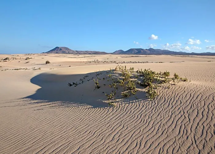 Willa Brisamar19 Corralejo